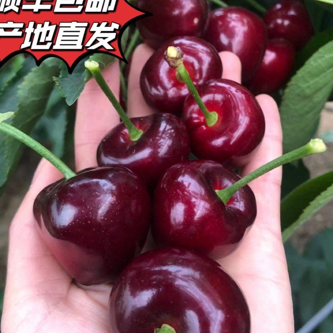 大连老田生态农场