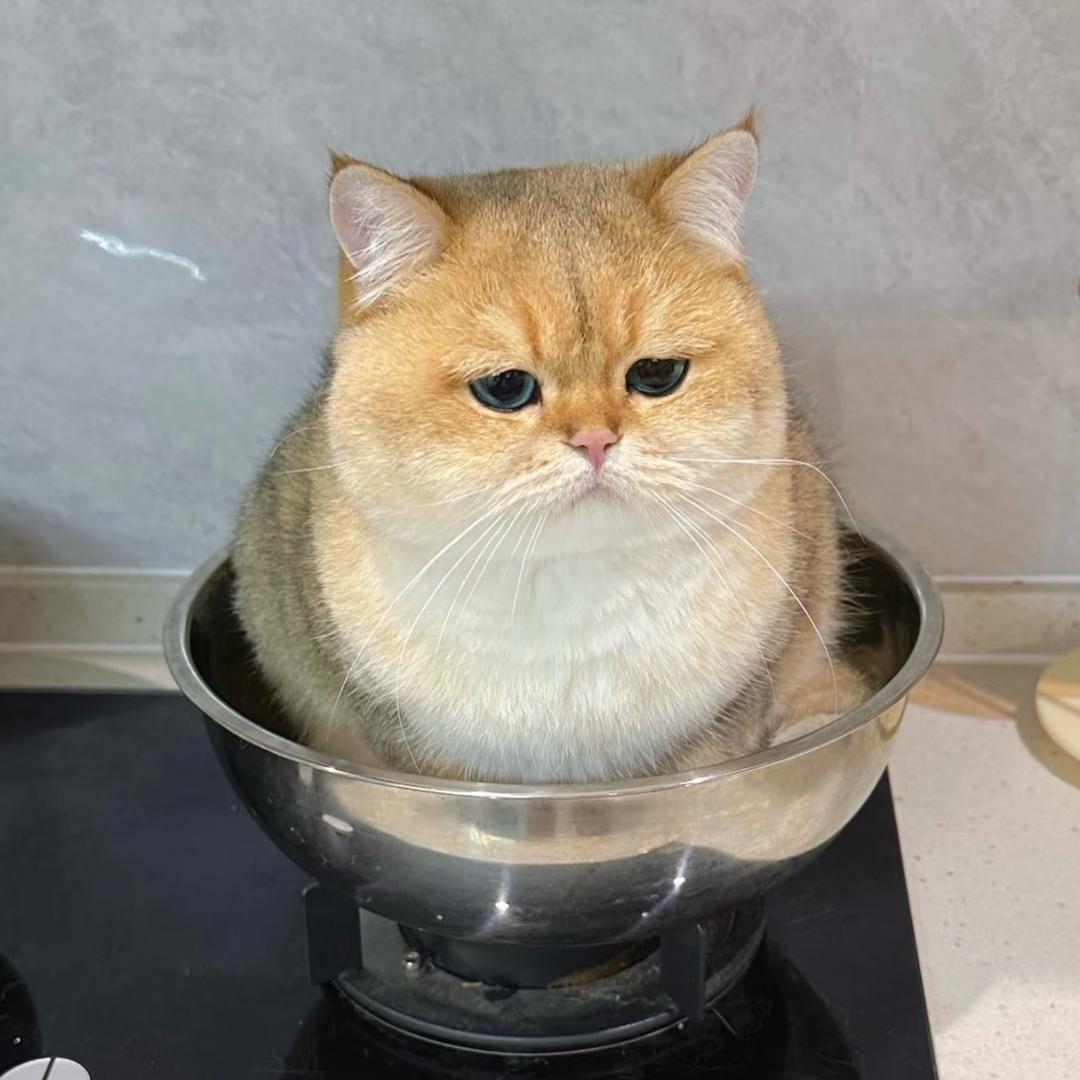 华子社长