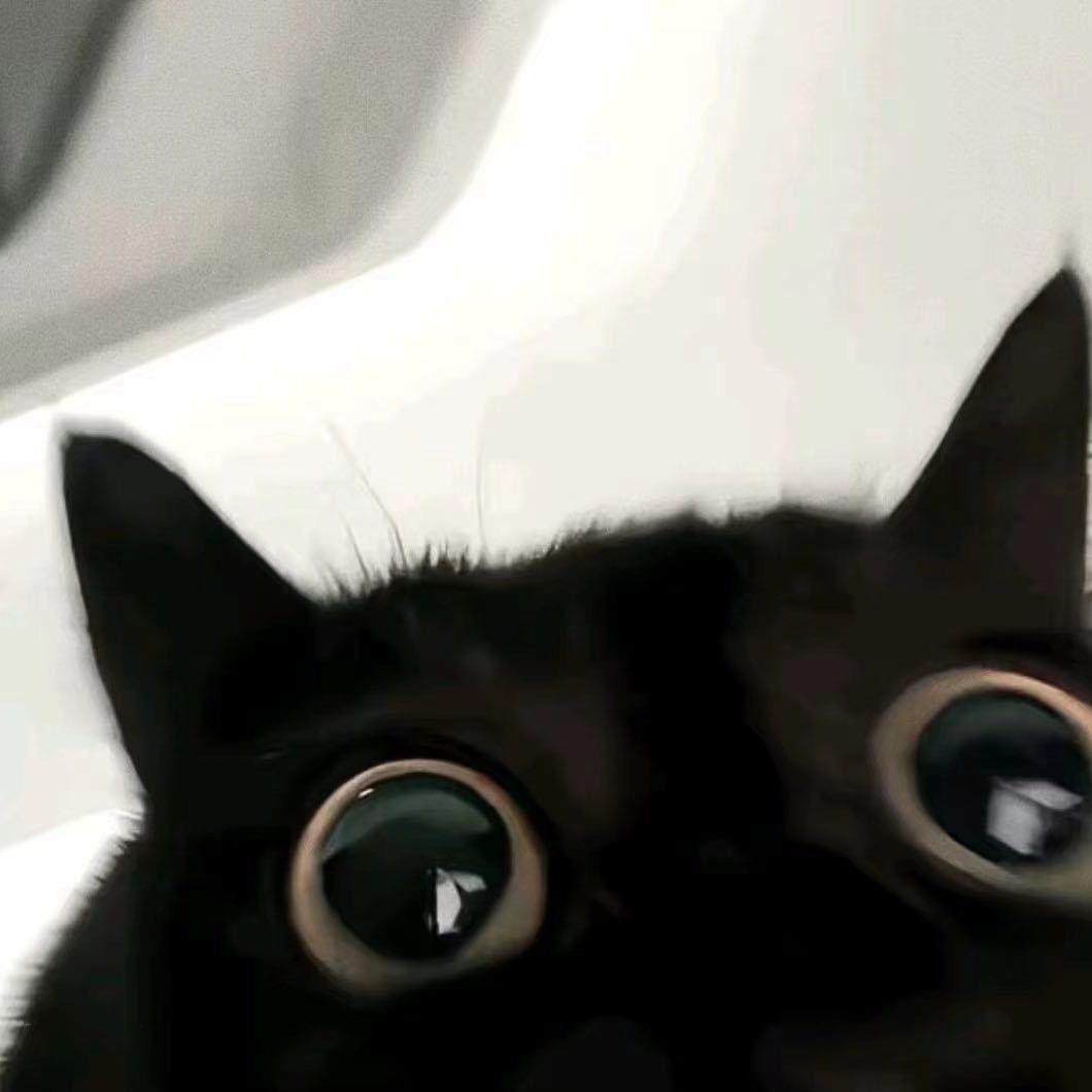 椰子 .