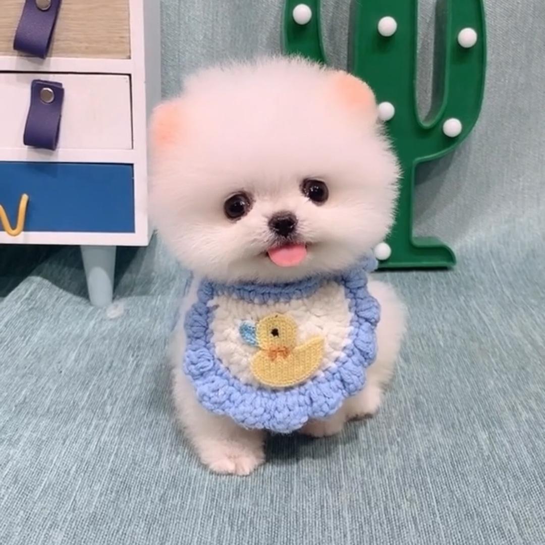魏英精选馆