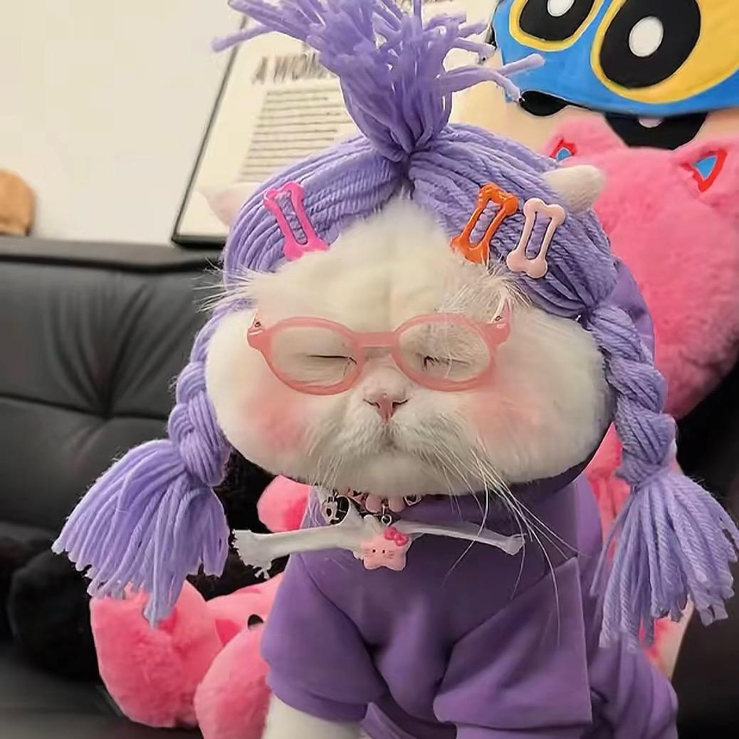 不A吃肉松