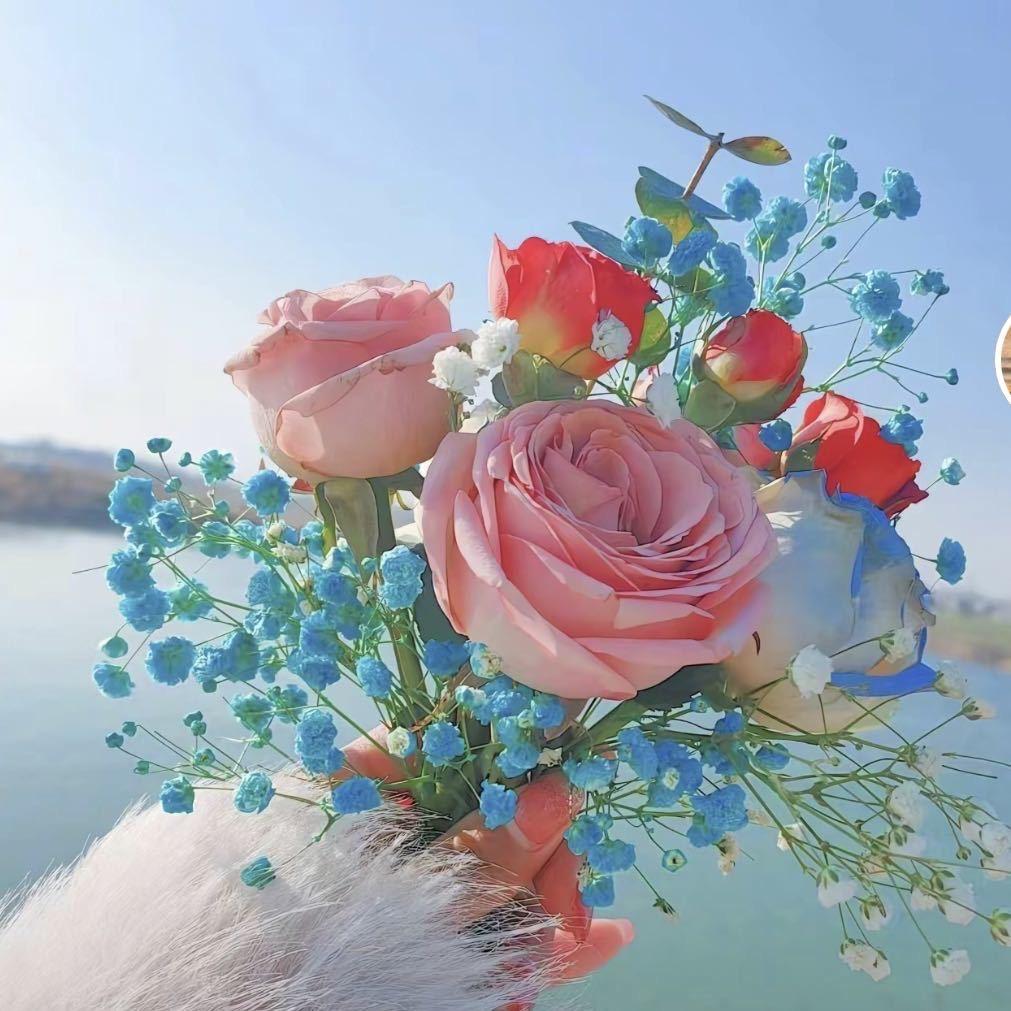 茉莉的向日葵花