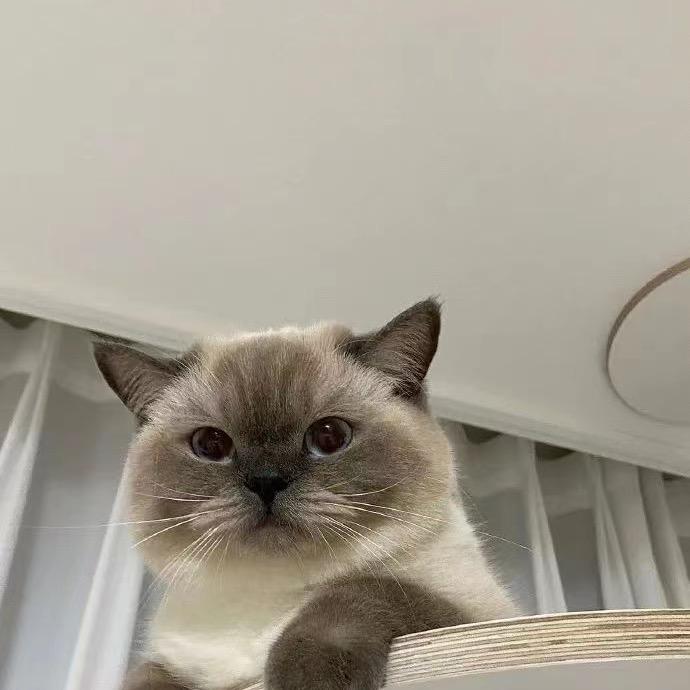L@z