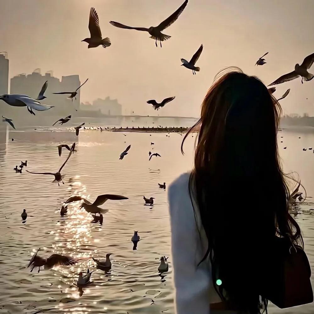 🫧🫧泡沫🫧 ✈️✈️✈️📦📦