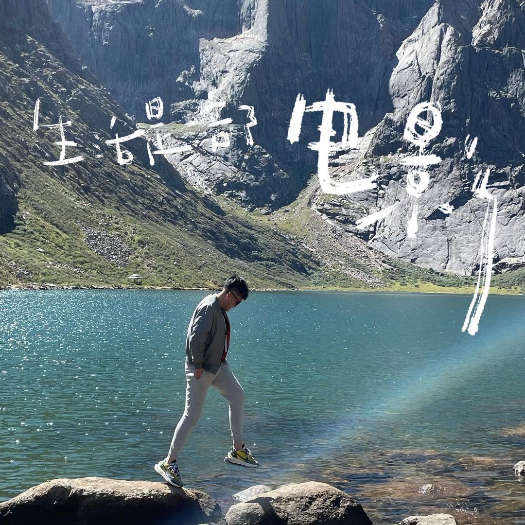 一匹做旅游的小马