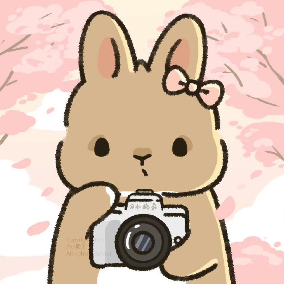 欣崽📷