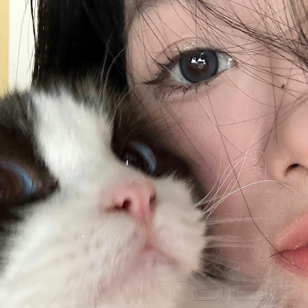 乐兜兜~