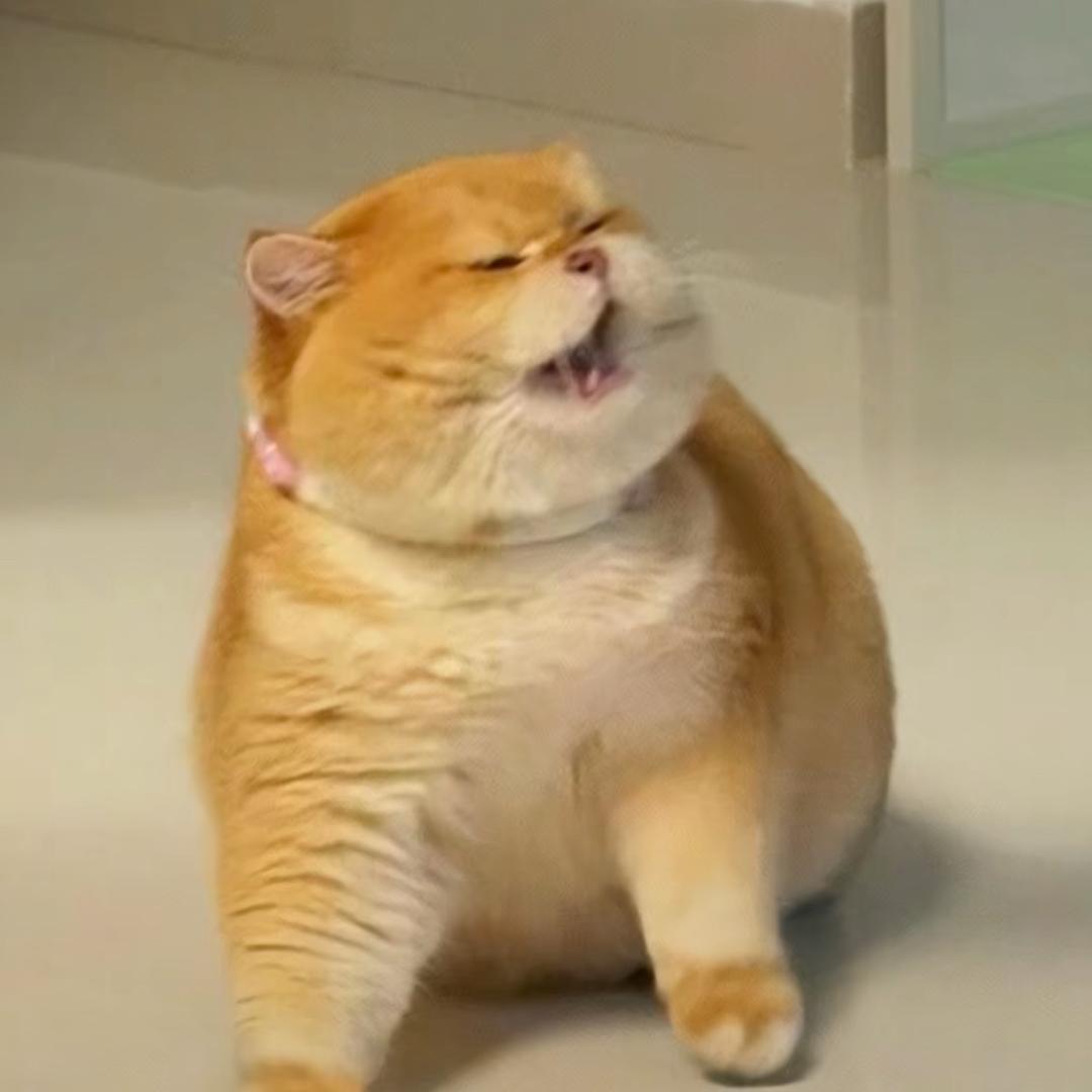 森森💦💦💦