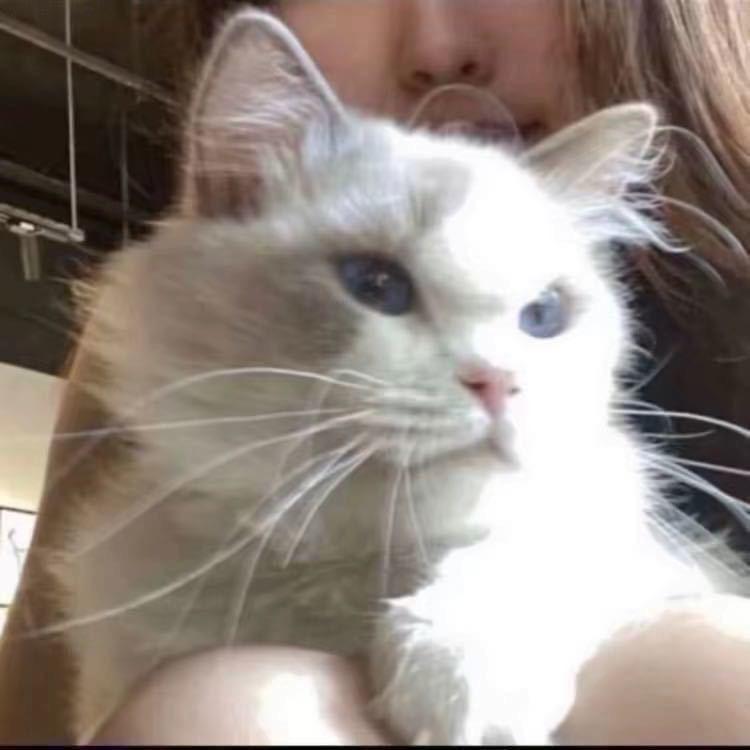 Tiji