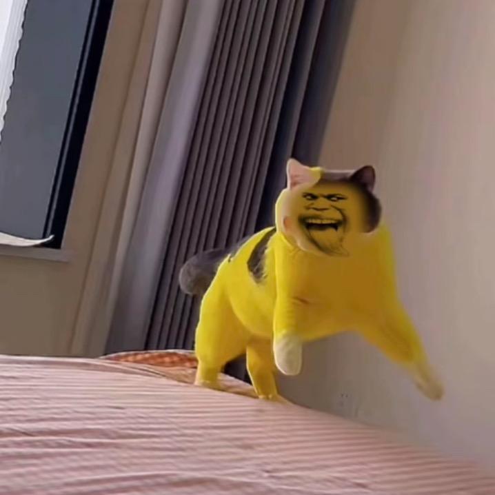 张红先