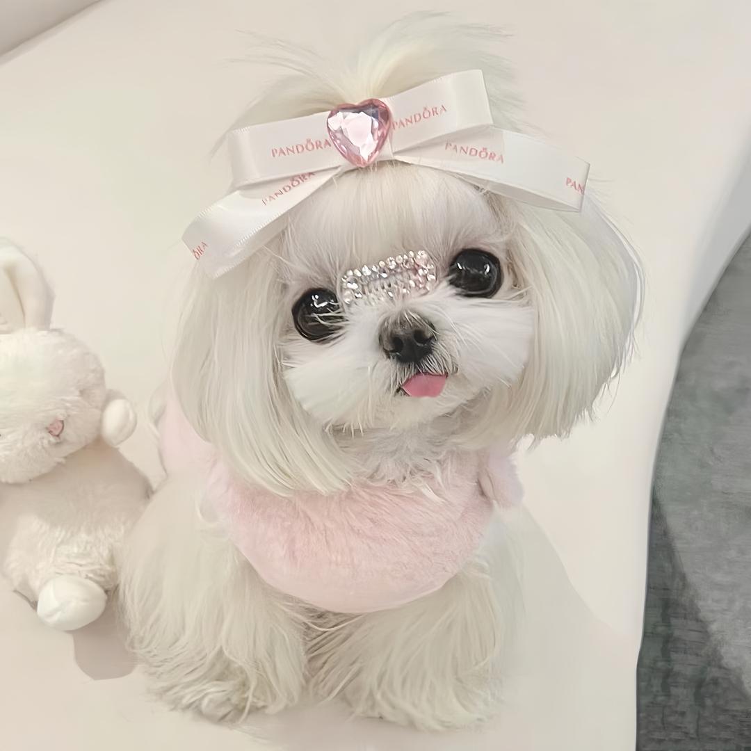 比巴卜kiki🧸