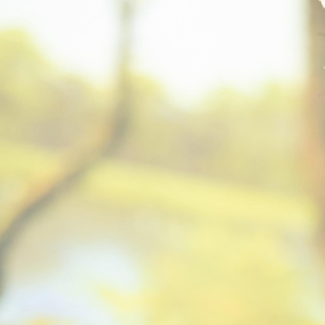 中国星⭐巴铁村