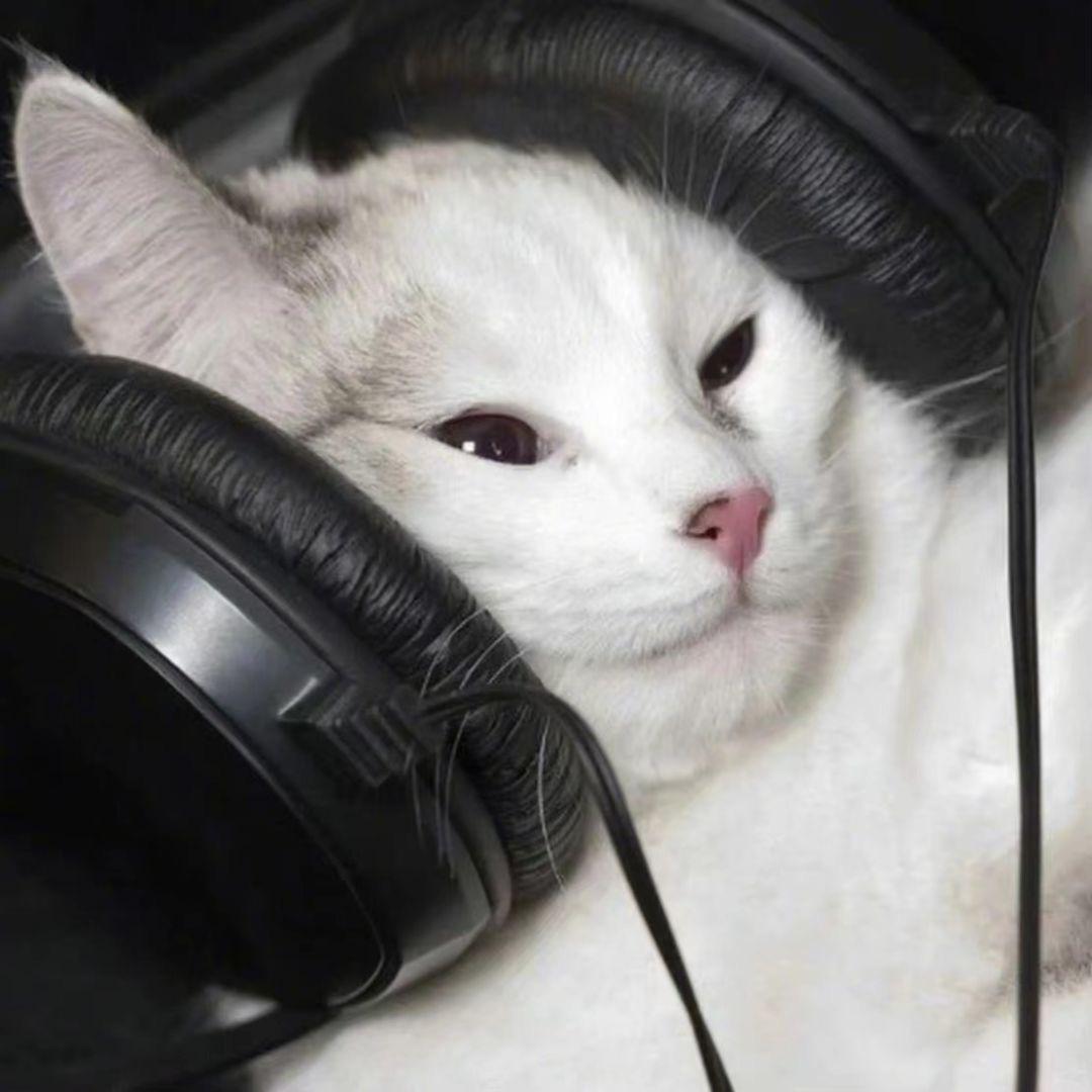 不愁.