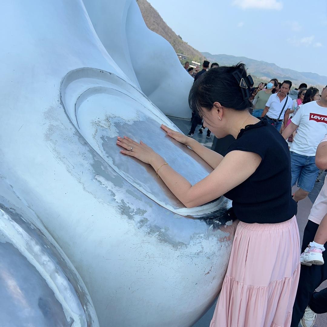 燕子的心瘦瘦的