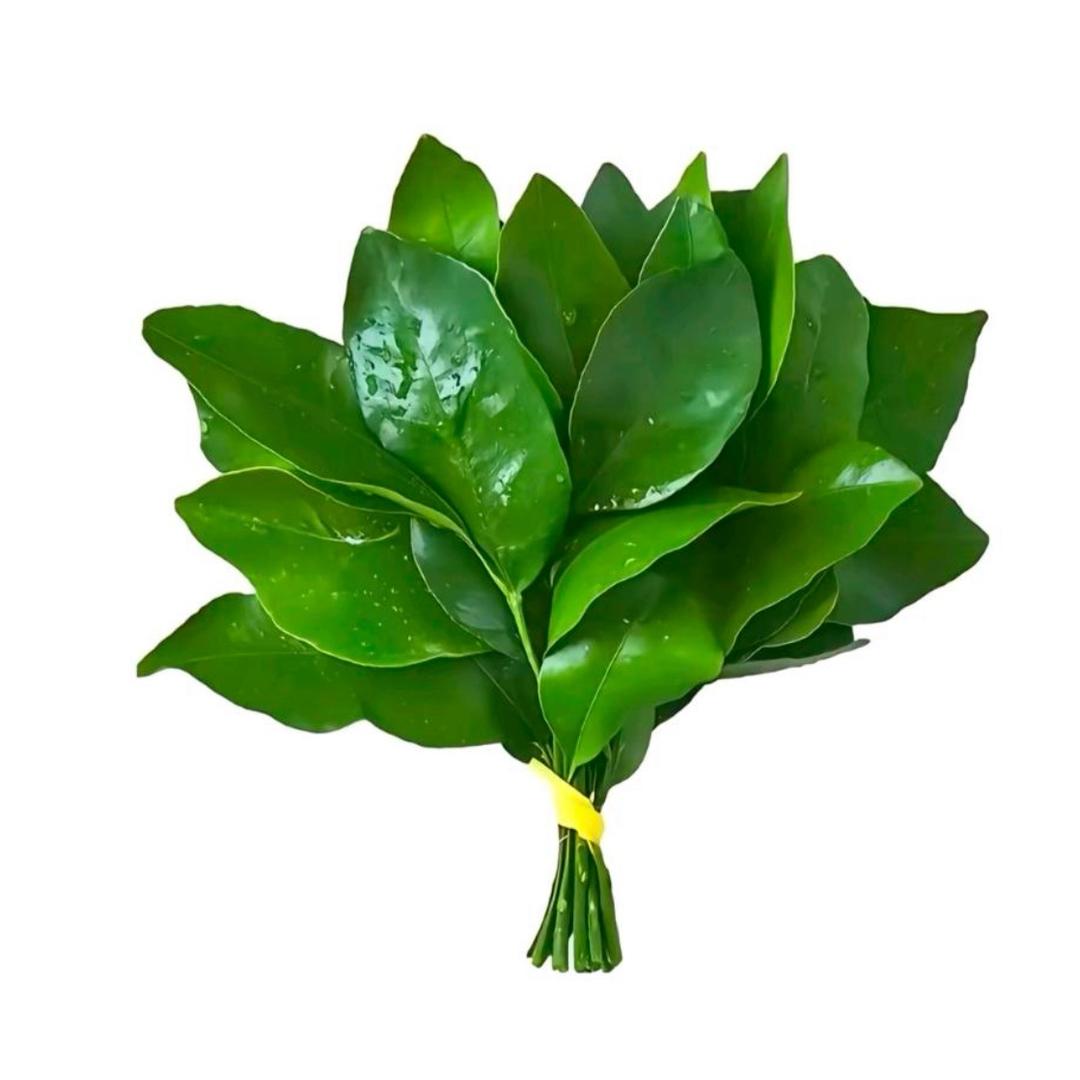 魚饼饼