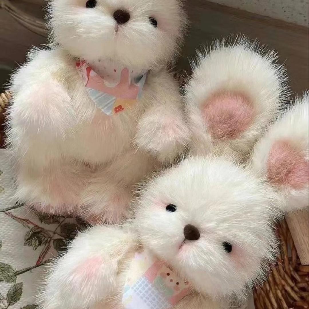 抱紧大白兔🐰.