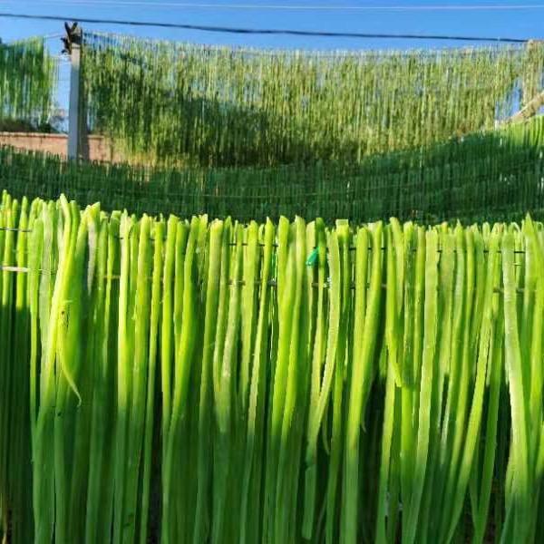 贡菜味道