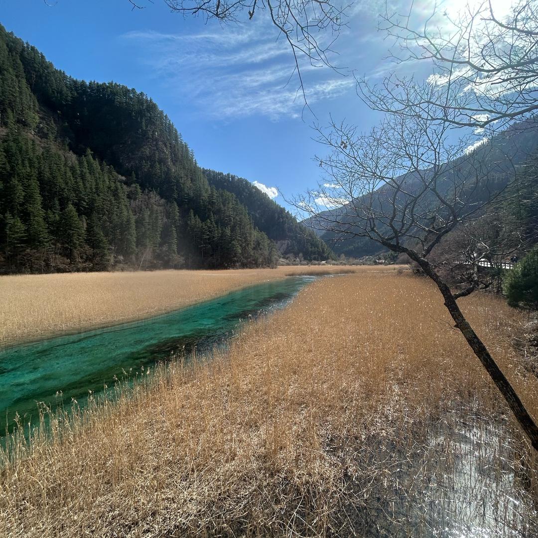 🌈🌟🌈 6360071042009