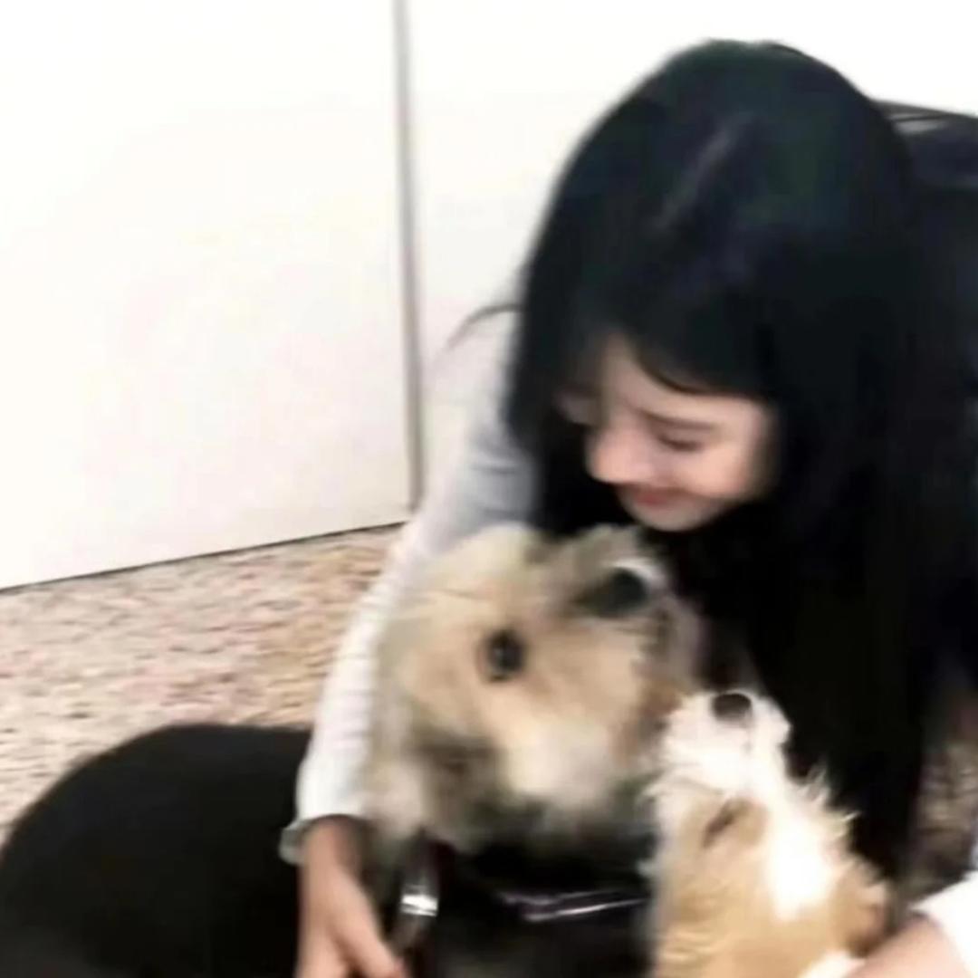 小羊椰椰