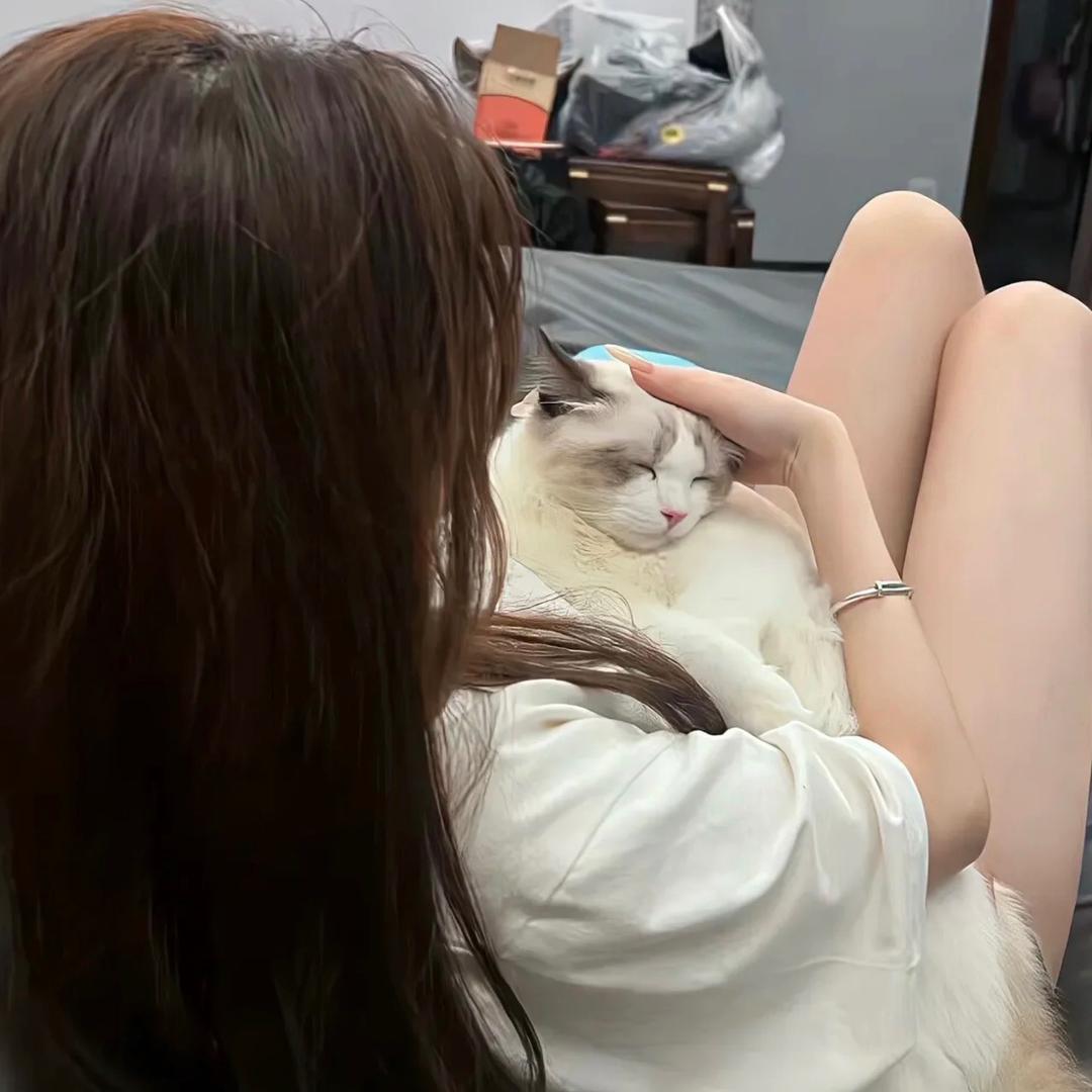 蓝莓🫐