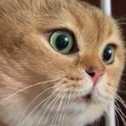 拒绝过陈冠希100次