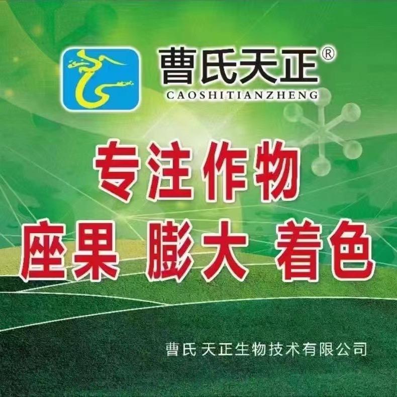 曹氏天正王亮
