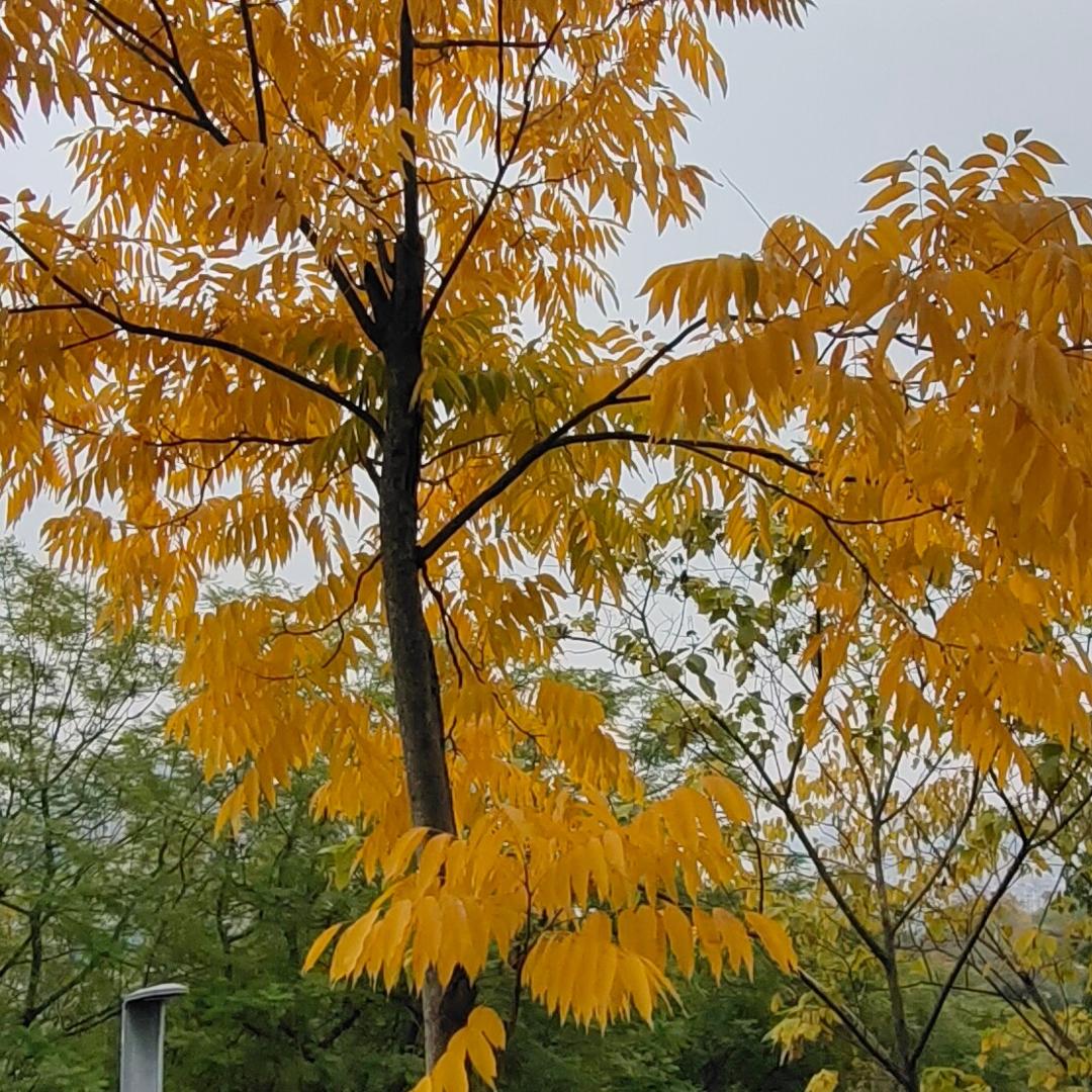 一 勤