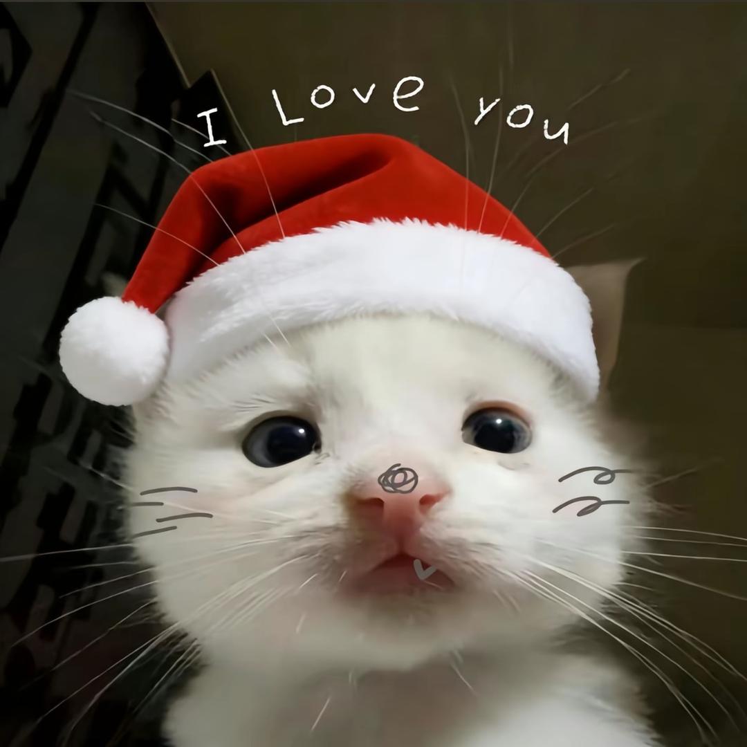 你迟来的顿悟很可爱