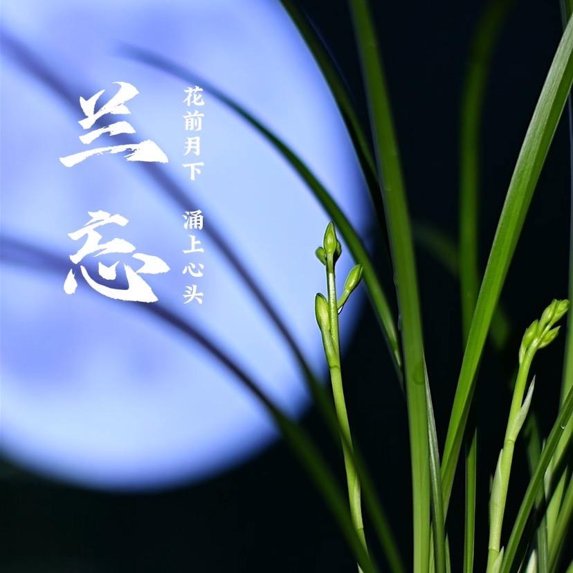 兰忘