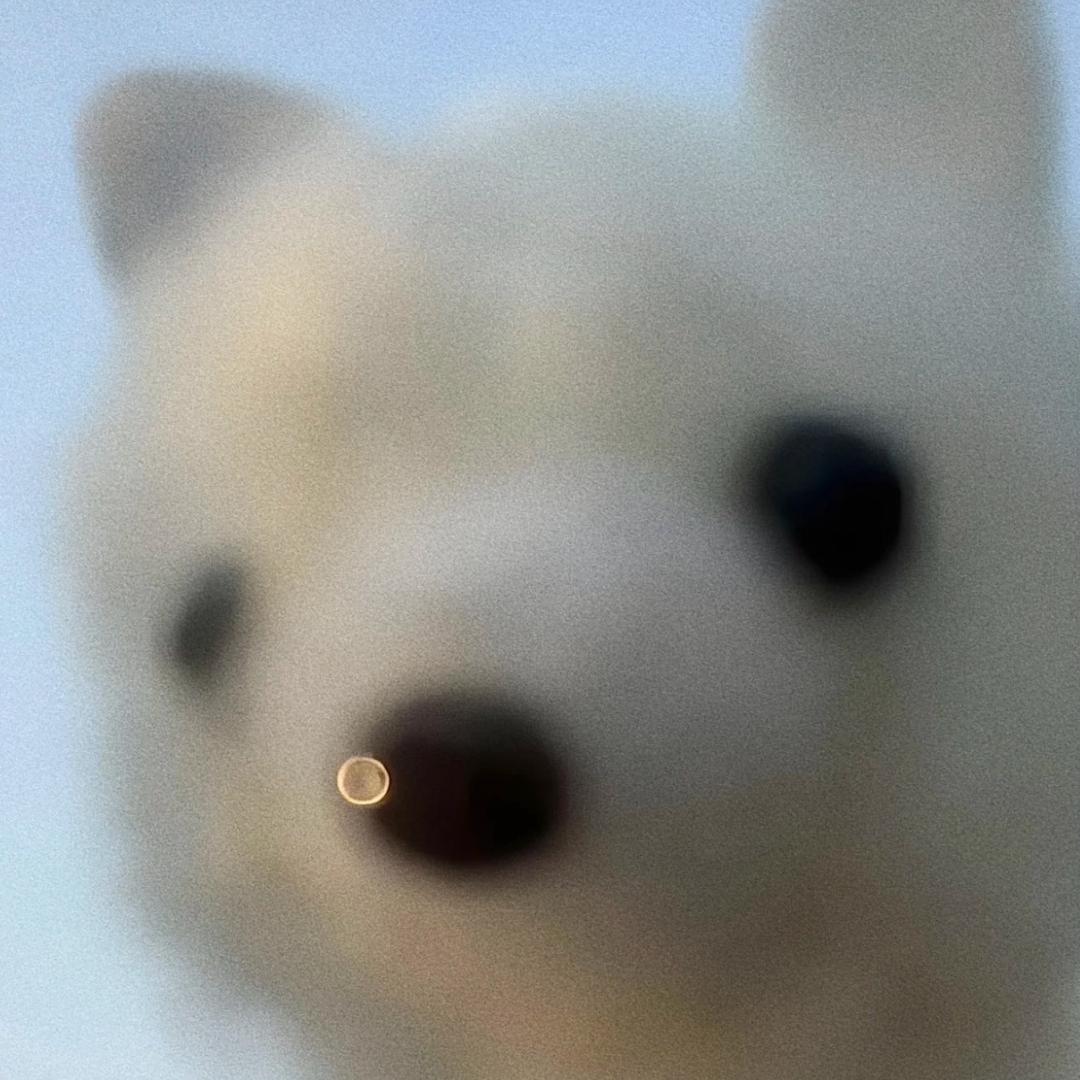 拉粑粑小魔仙