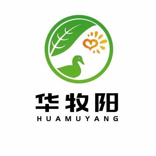 张甲第规模养鸭服务