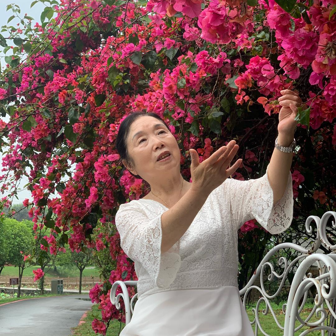 张爱乐