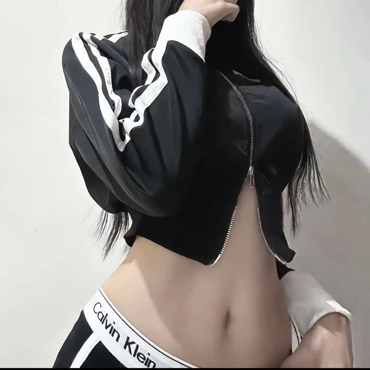 懒猫猫