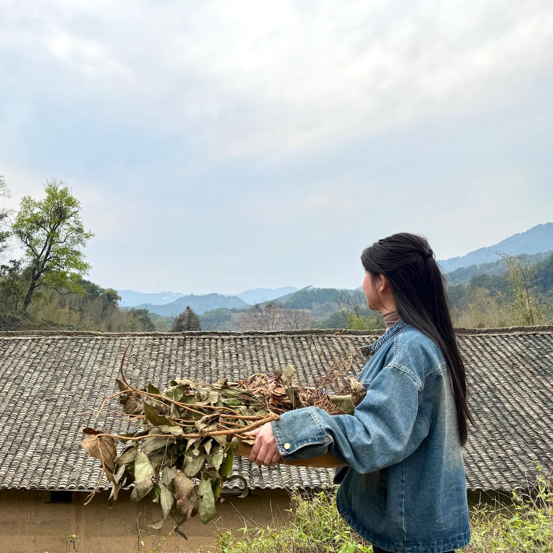 俏妹三农