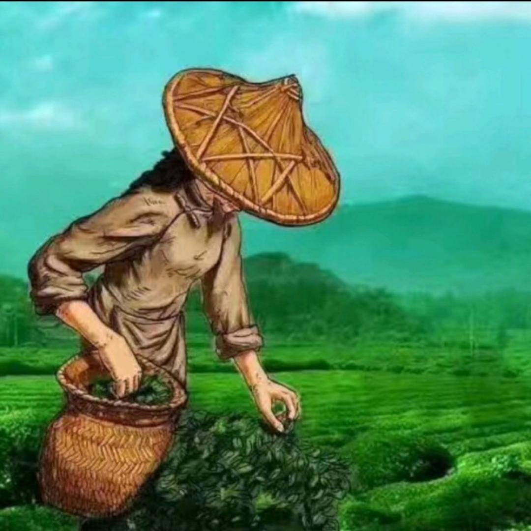 清秋🍵⛰️