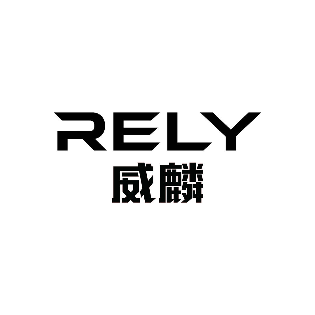 RELY威麟皮卡-四川（雅安）奇威店