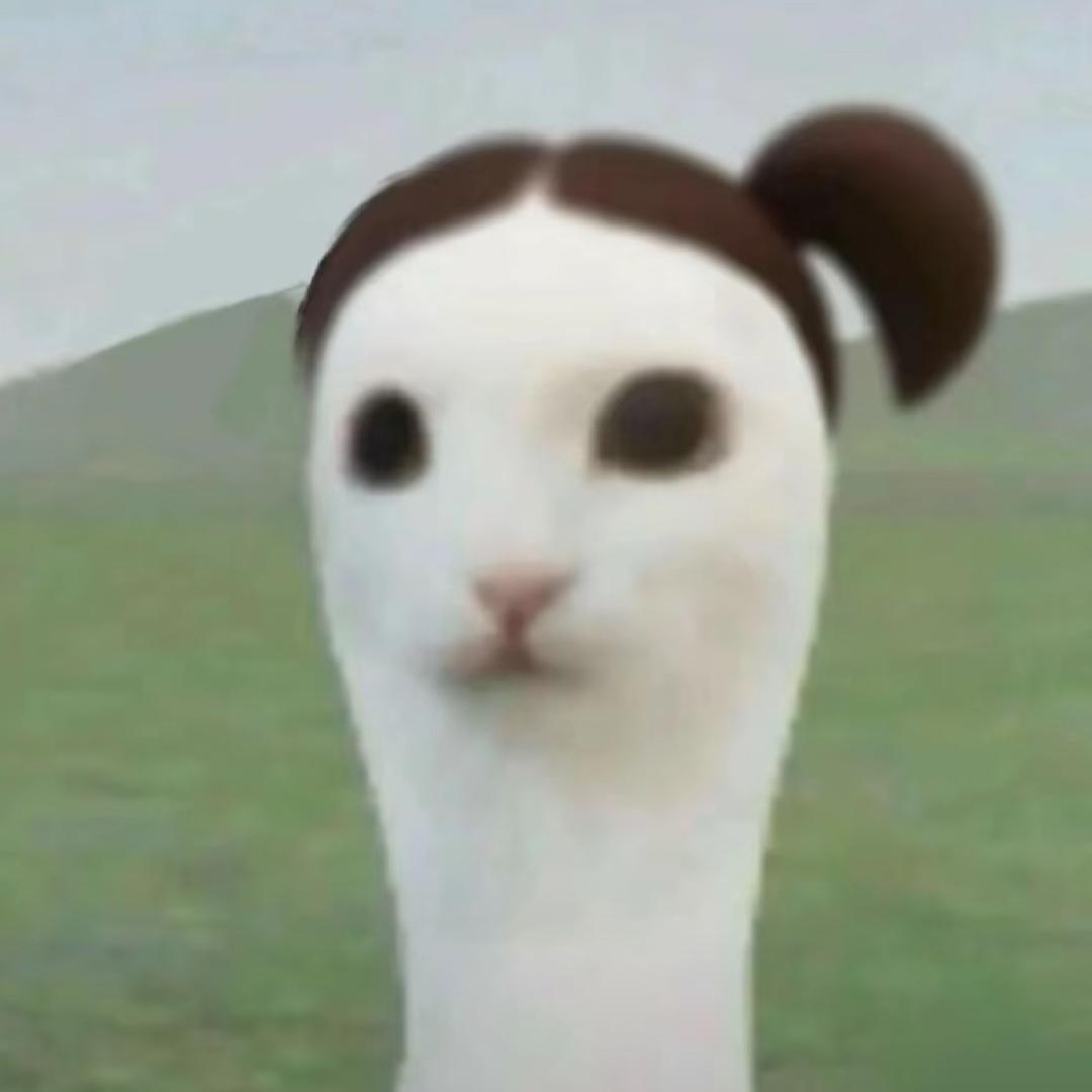 小阳