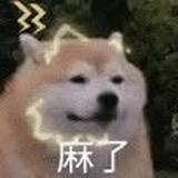 坐红绿灯上创老奶奶