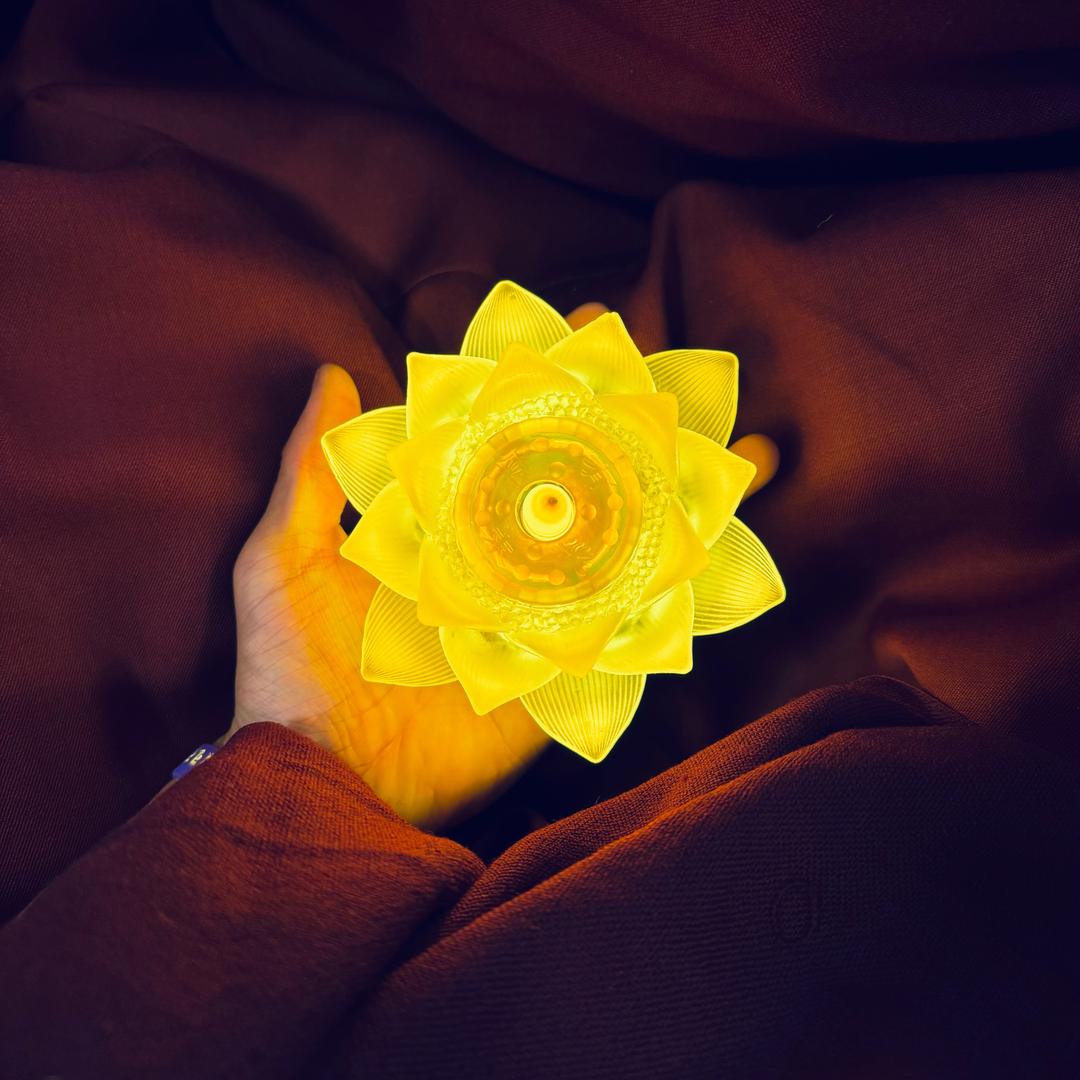 Mr  江先生🪷