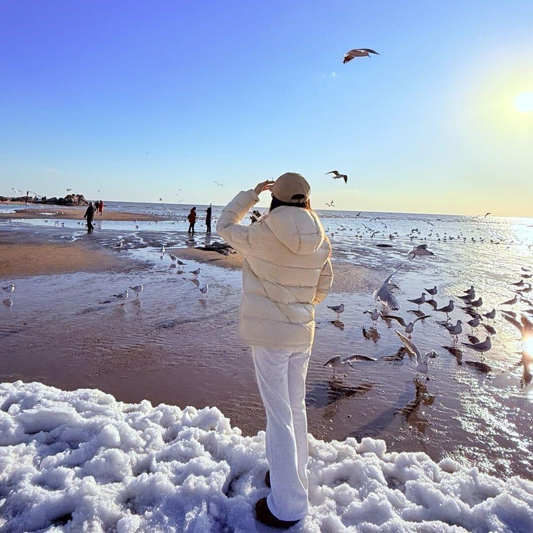 春风又绿江南岸