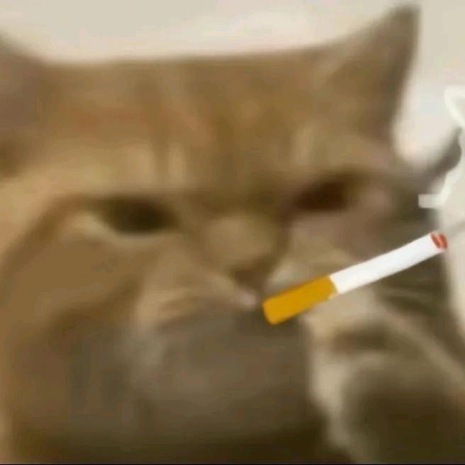 九离.
