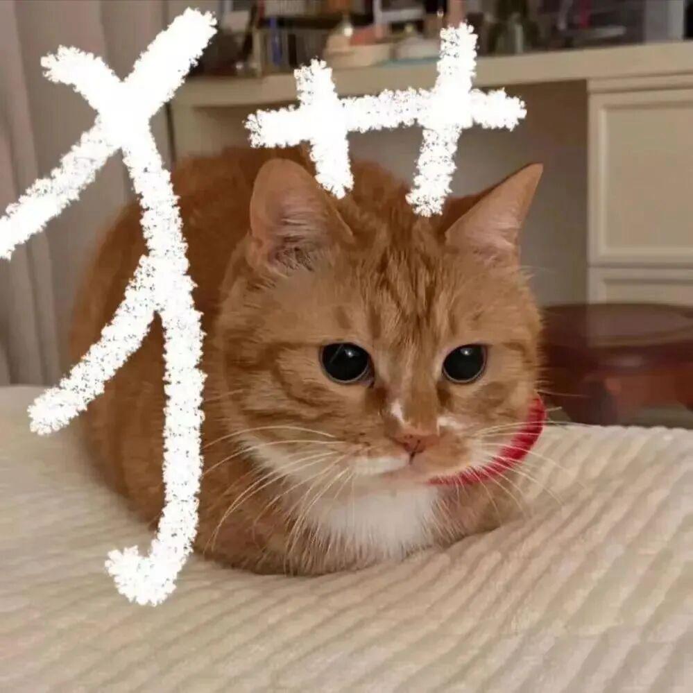 下雪了