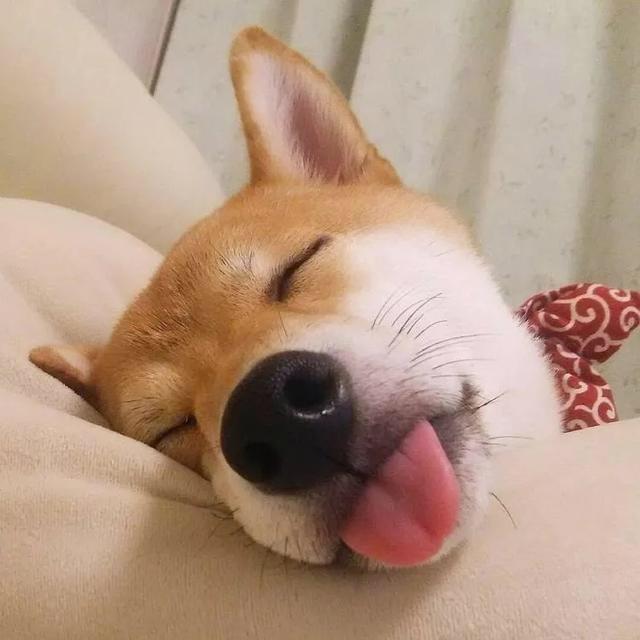 沃尔姆健身小新