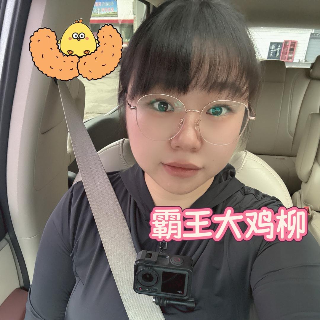 哈尔滨代驾小冯🐥（鸡柳主理人版）