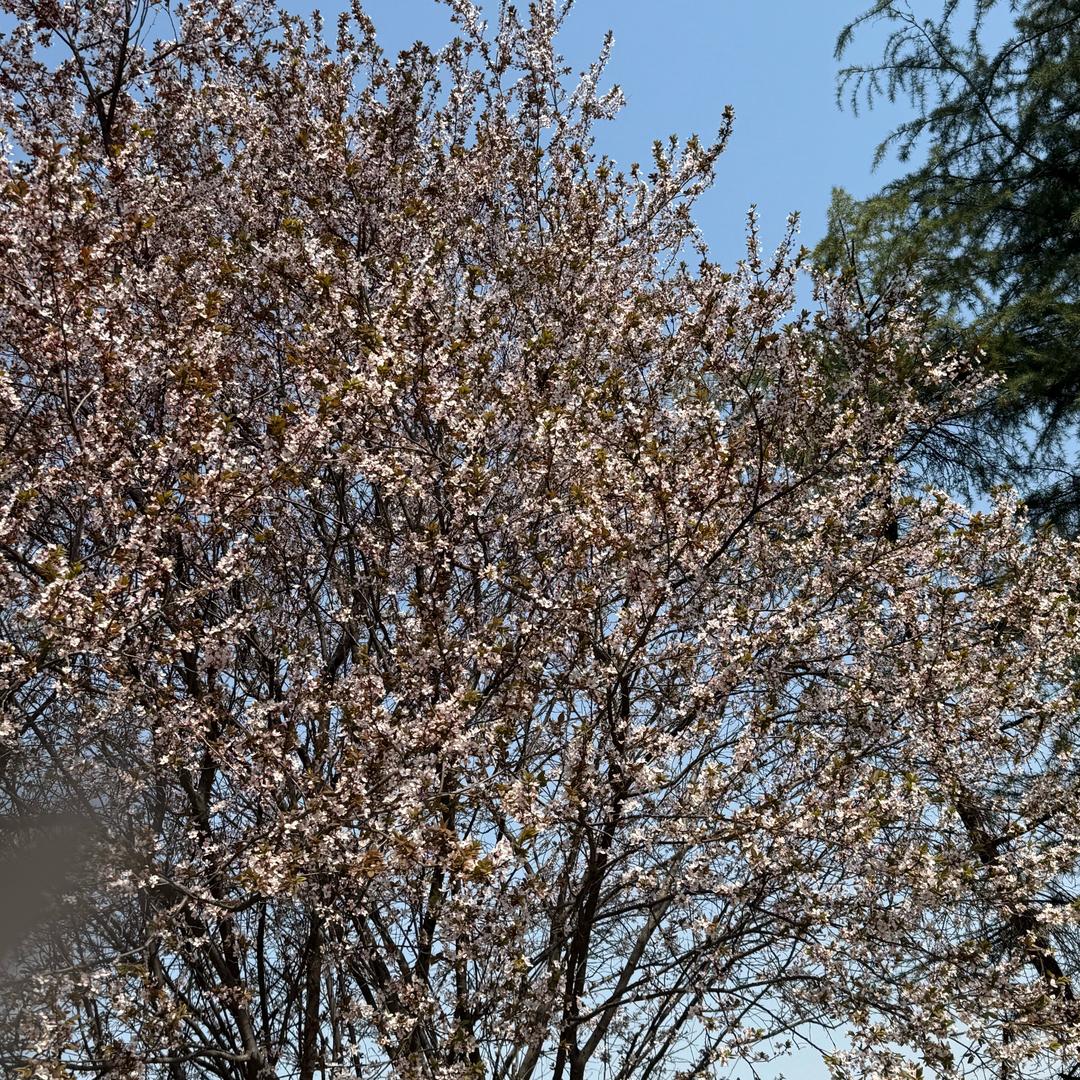师兄讲