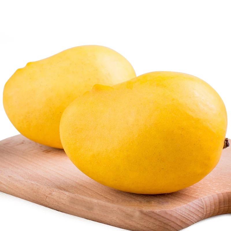食晕全世界
