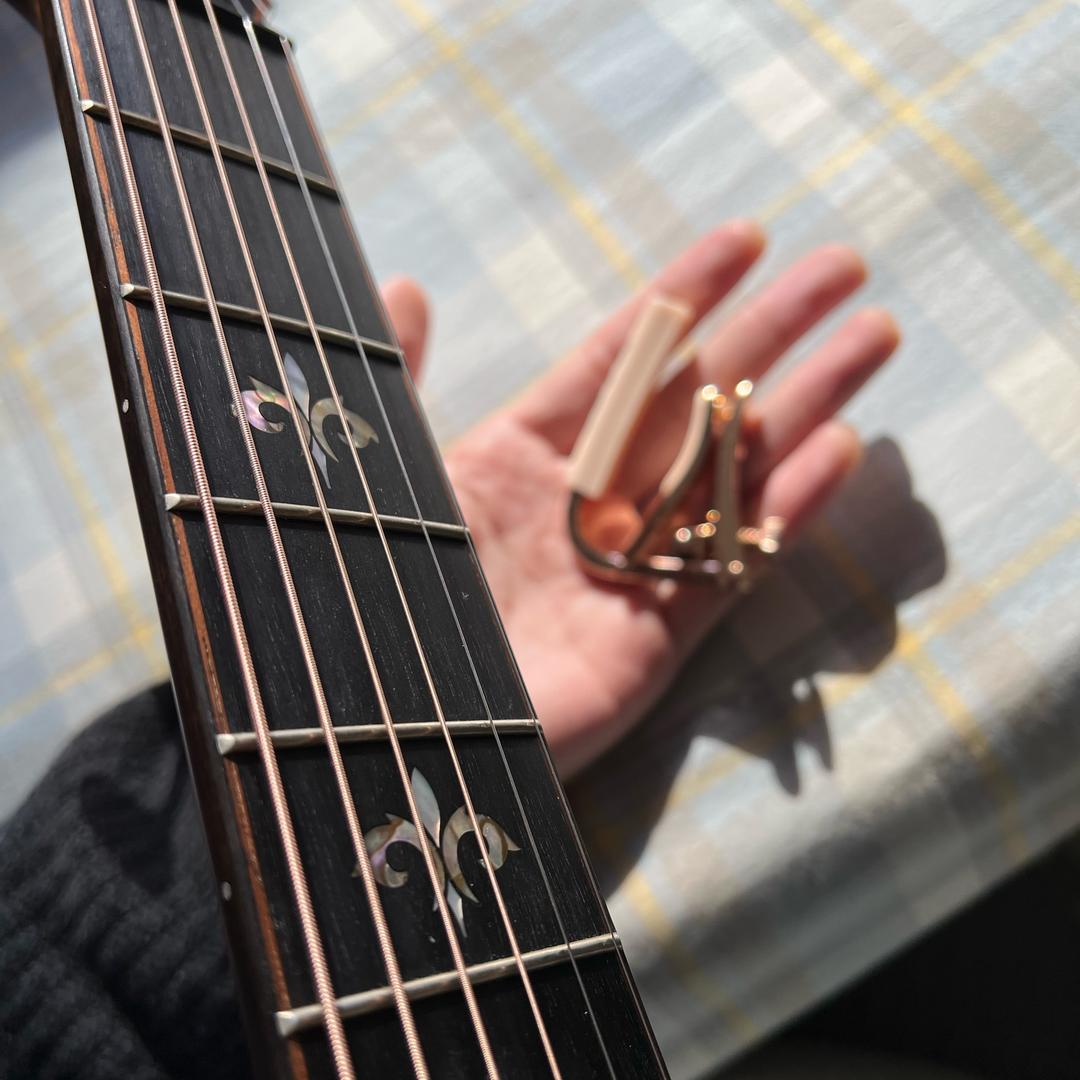 江晓南🎸