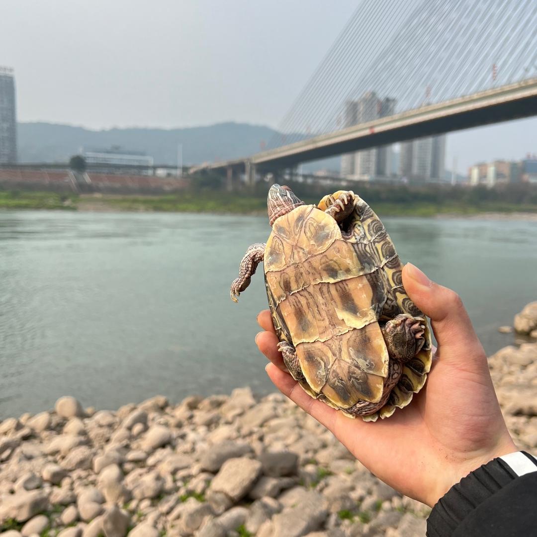 小伙子