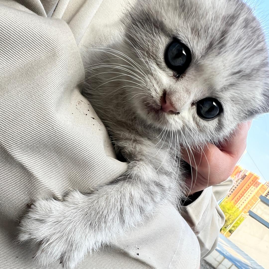 湖上的悲剧