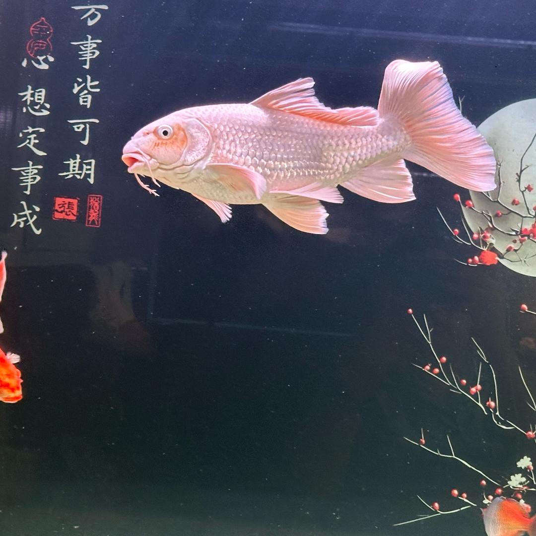 程风破浪